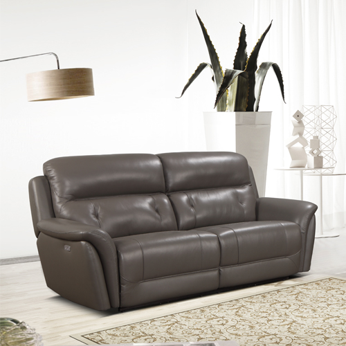 D9767ER Leather Power Recliner Sofa