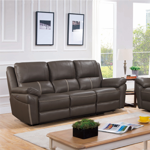 D9631ER Leather Recliner Sofa